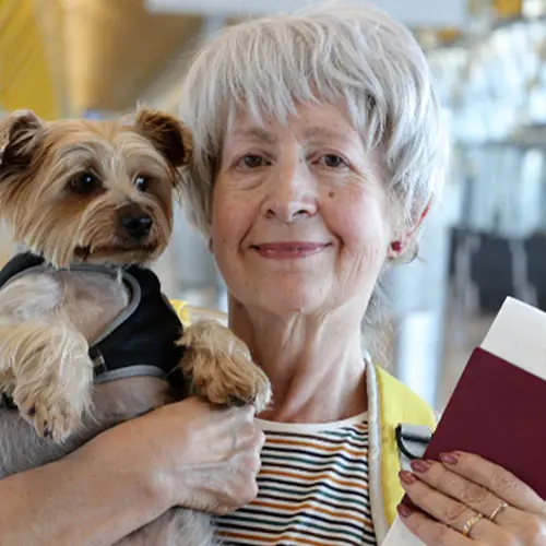 img-certificado-animal-homievets-1