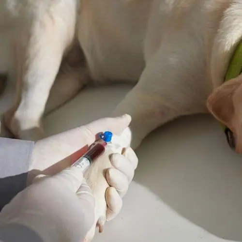 img-tomademuestras-3